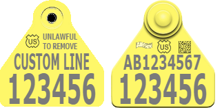 SCR4-PREM-PLUS-FLOCK VC SCR4-PREM-PLUS-FLOCK VC